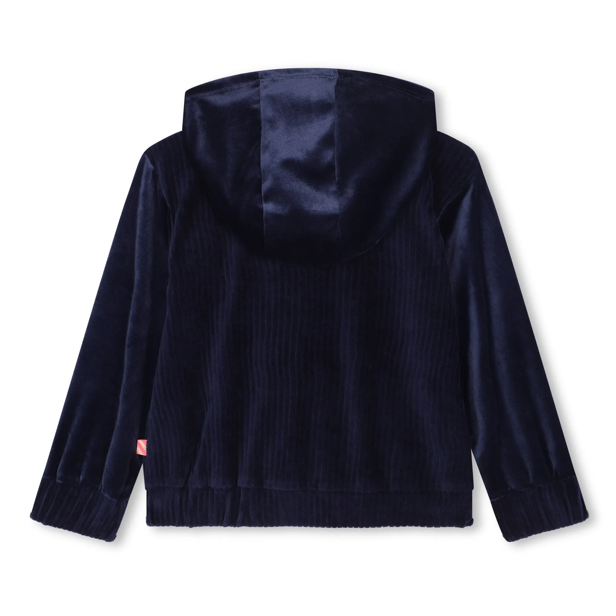 Indigo Zip Up Velvet Sweatshirt