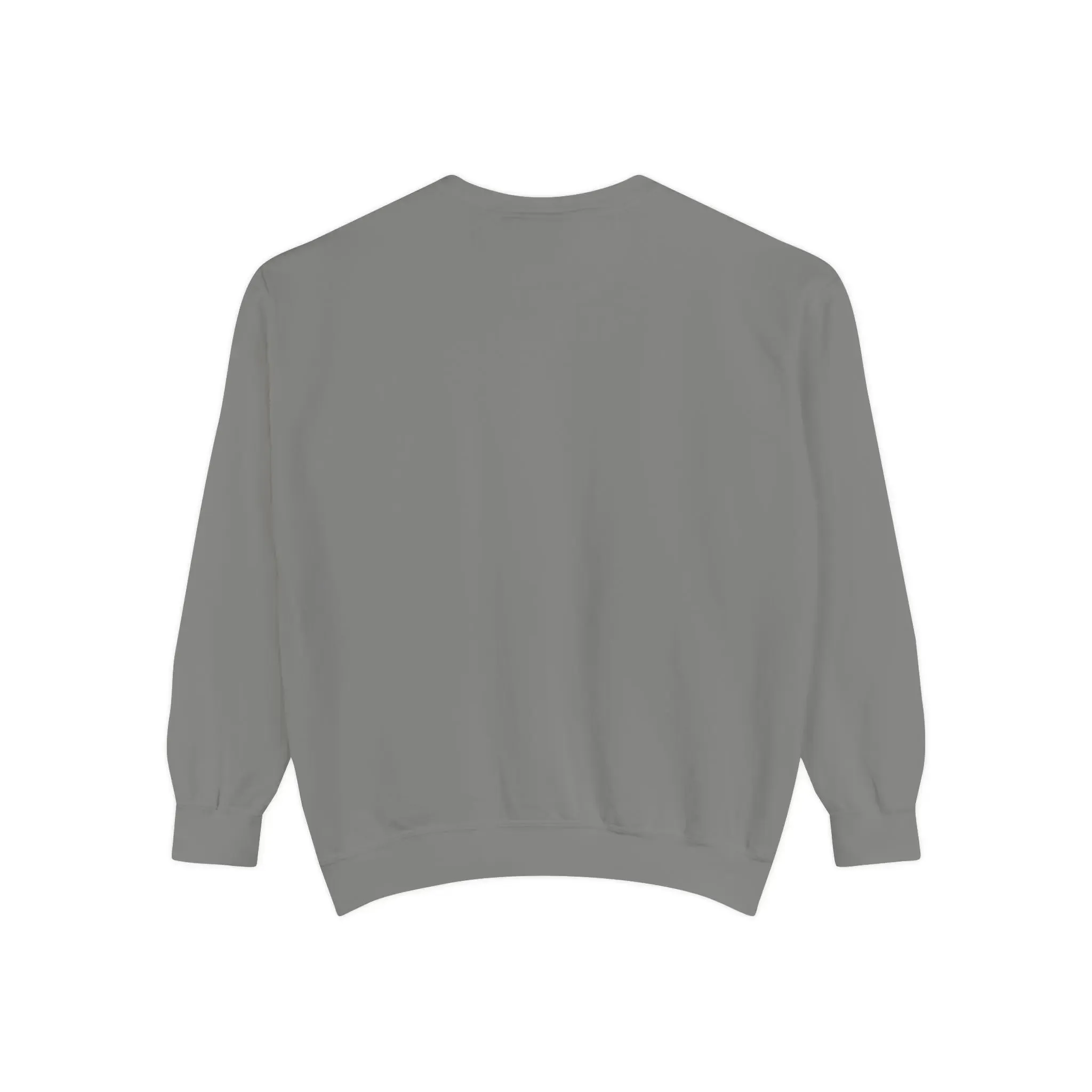 MENS DOLLAR Garment-Dyed Sweatshirt