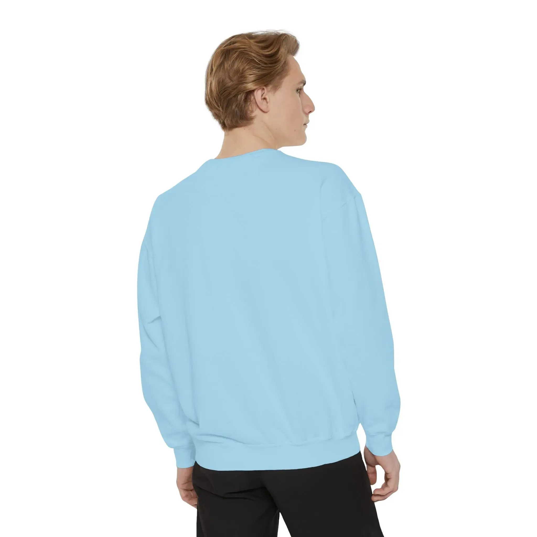 MENS DOLLAR Garment-Dyed Sweatshirt