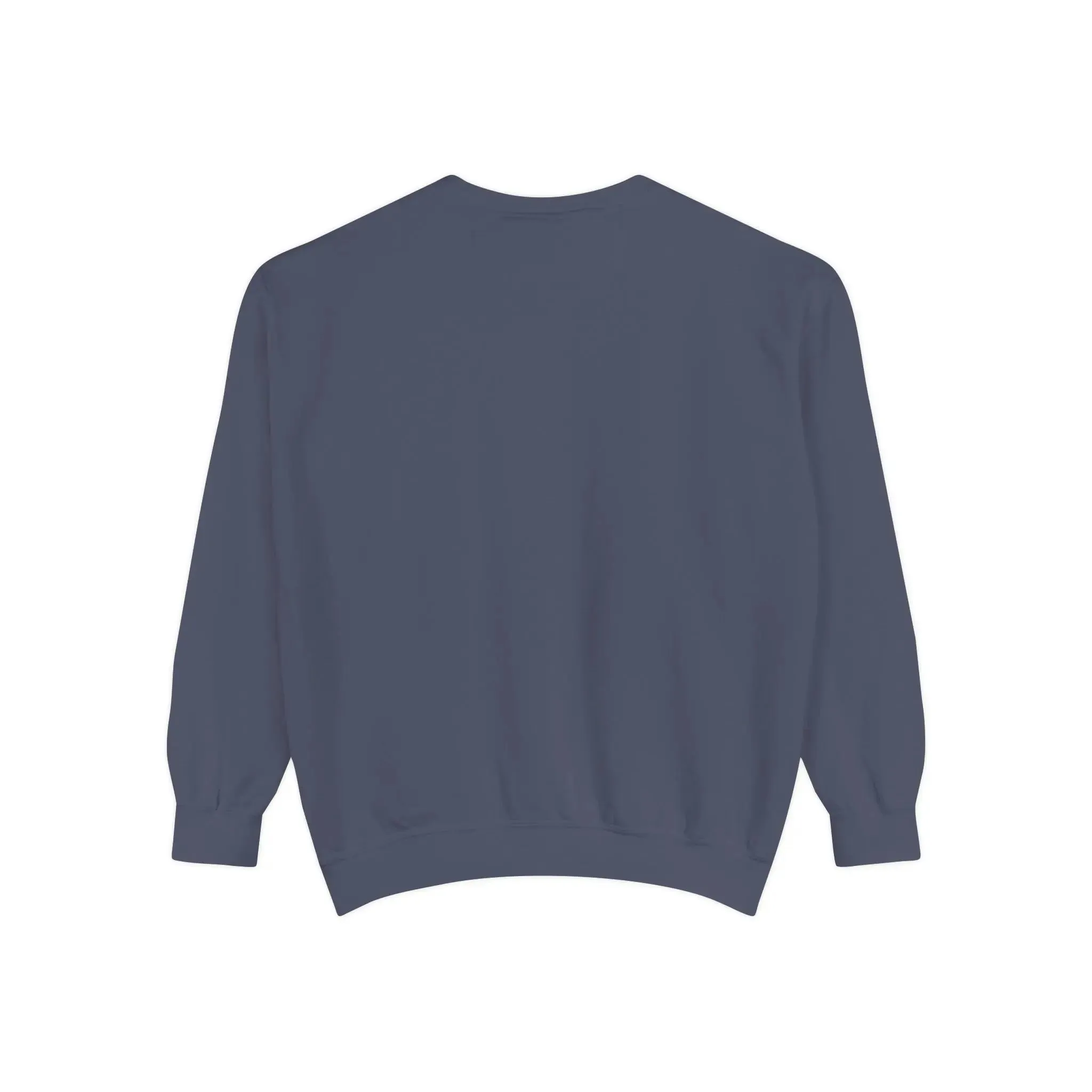 MENS DOLLAR Garment-Dyed Sweatshirt