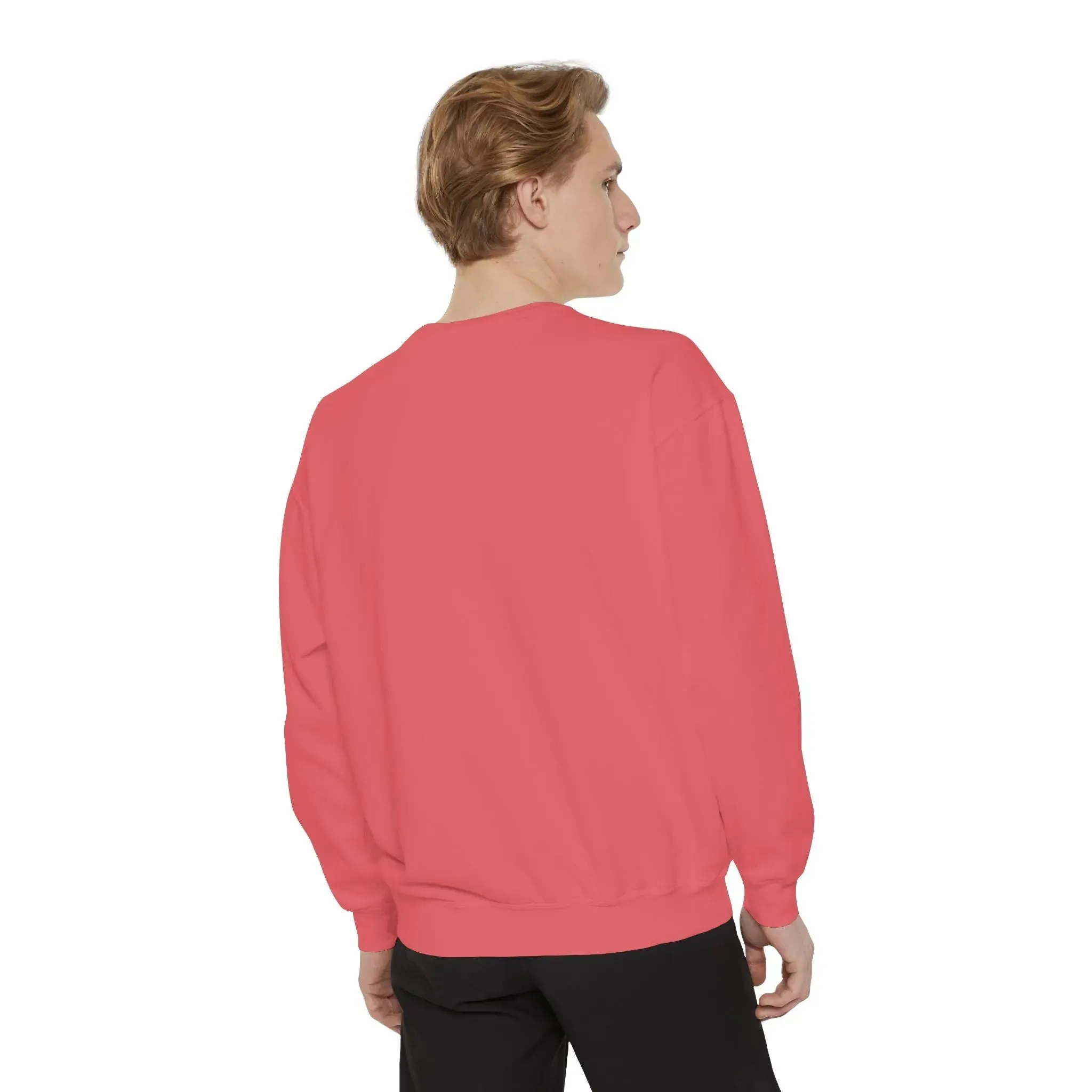 MENS DOLLAR Garment-Dyed Sweatshirt