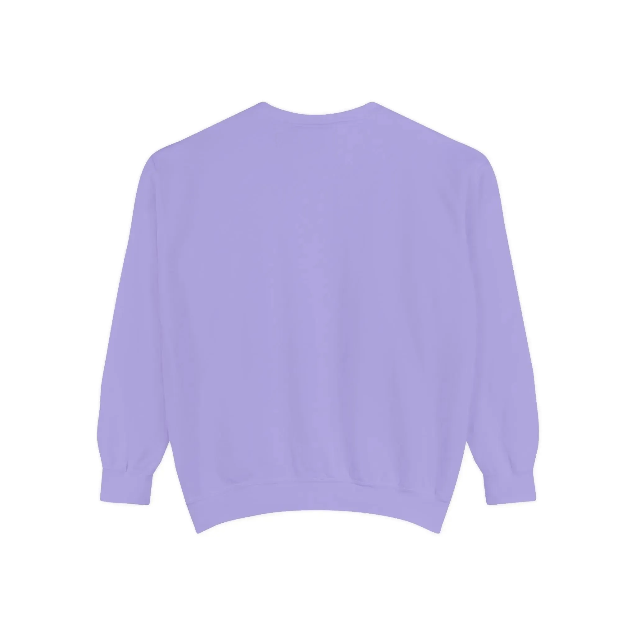 MENS DOLLAR Garment-Dyed Sweatshirt