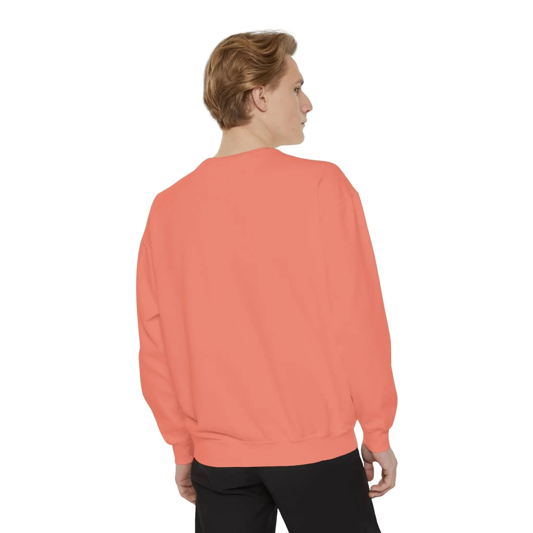 MENS DOLLAR Garment-Dyed Sweatshirt